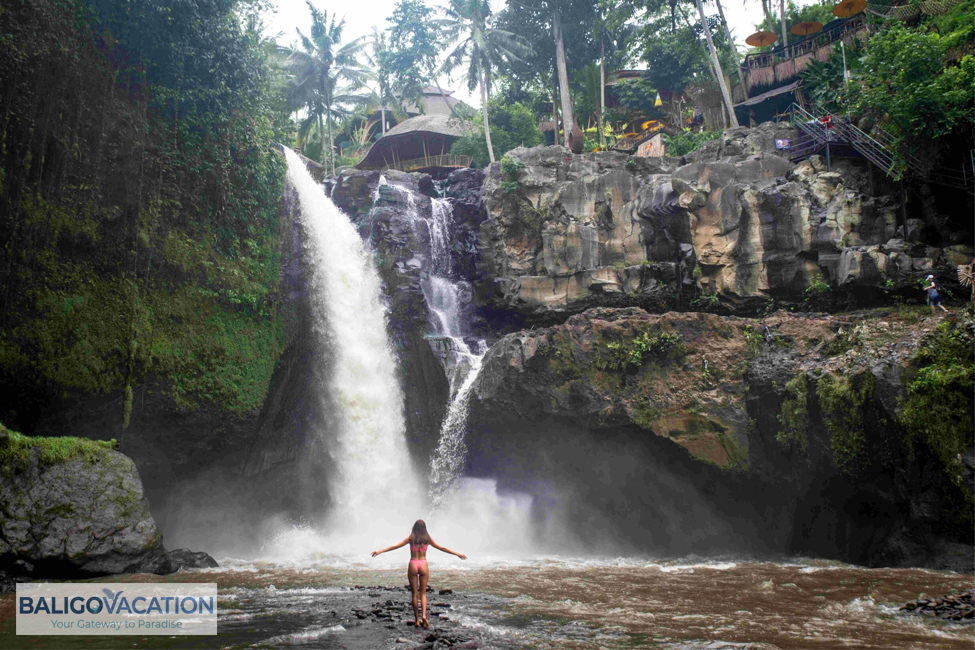 UBUD ART AND CULTURE - Image 8